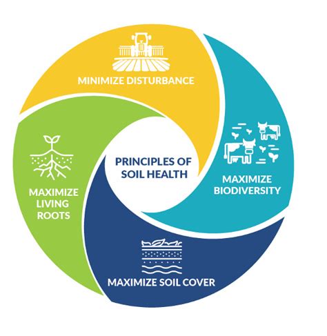 Soil Health Basics Hunter Region Landcare Network