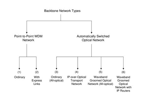 Diagram Of Backbone / Schematic Diagram Of Backbone Structures Of Our ...