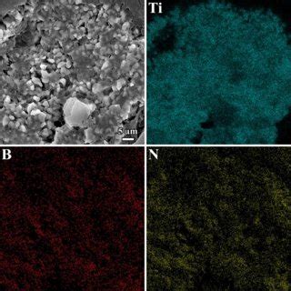 The Fesem Image From The Fracture Surface Of The Hbn Wt Ti Sample