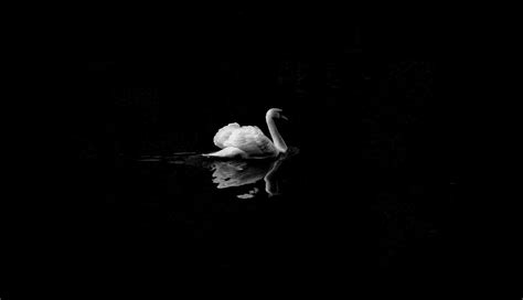 Top Irish Poem Leda And The Swan By W B Yeats