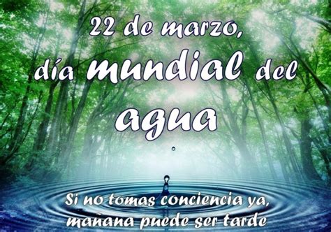 Tarjetas Con Frases Del 22 De Marzo Día Mundial Del Agua Imágenes Para Compartir Información