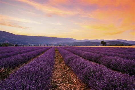 Top 18 Locations De Vacances Sur 47563 Maisons En Provence ᐅ Comparez