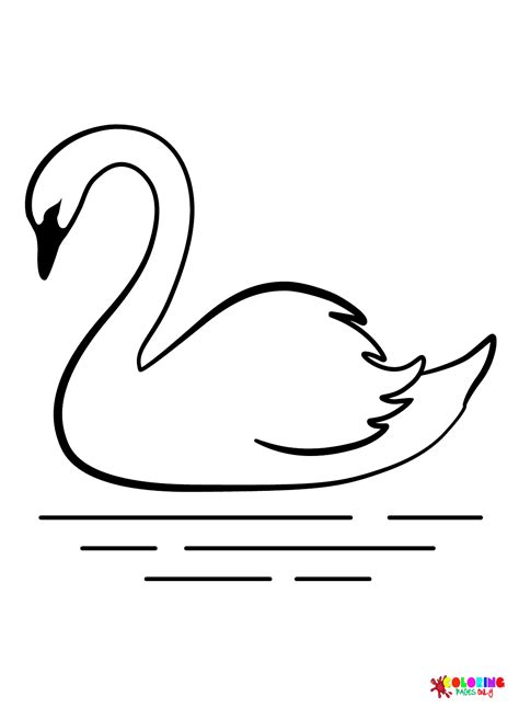 Cisne Para Colorear Y Pintar Im Genes Para Dibujar Gratis