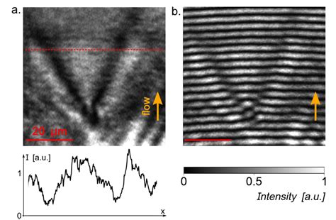 Oblique Solitons A Intensity Map Of The Polariton Flowing Across A Download Scientific