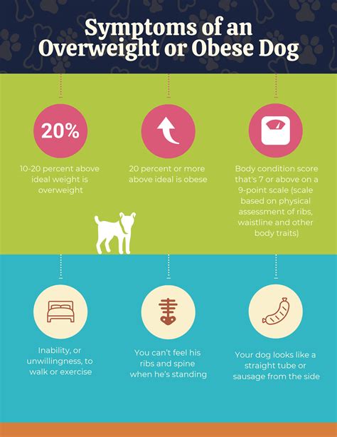 Complete Guide To Canine Obesity Darwins Natural Pet Products