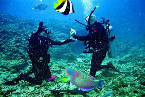 Apprendre La Plong E Koh Tao Voyager