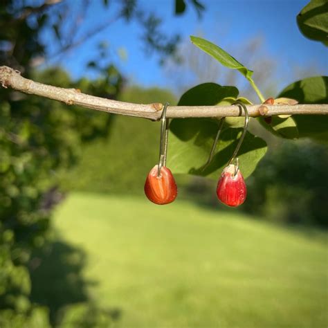 Ruby Red Minimalist Glass Gem Corn Earrings Etsy