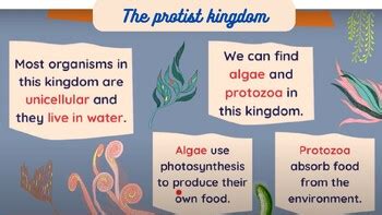 Classification of Living Things 5 kingdoms by Ane González Peña