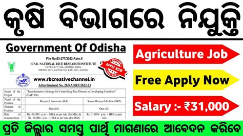 Salary Agriculture Jobs Odisha Govt