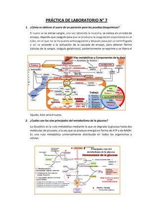 Informe Curva De La Glucosa UNIVERSIDAD PRIVADA ANTENOR ORREGO