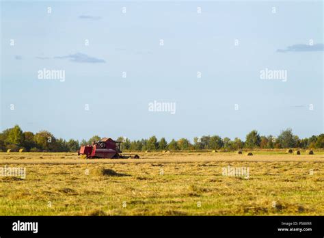 Wheat field, agricultural machinery for harvesting Stock Photo - Alamy