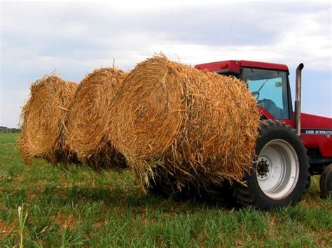3 Point Bale Spear Bale Movers Hay Fork Ag Krane