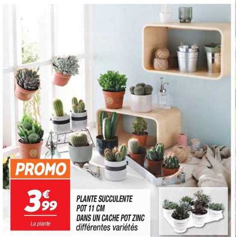 Promo Plante Succulente Pot Cm Dans Un Cache Pot Zinc Chez Netto