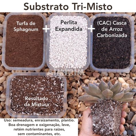 Substrato Misto Turfa De Sphagnum Perlita Expandida E Casca De Arroz