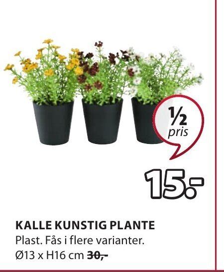 KALLE KUNSTIG PLANTE Tilbud Hos JYSK