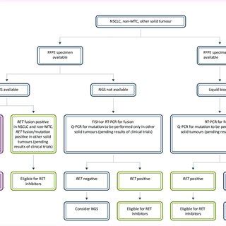 RET gene location, structure and most common alterations. (A) RET gene ...