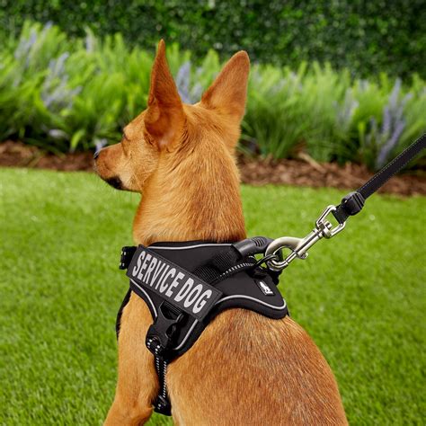 Chai's Choice Service Dog Vest Harness, Black, X-Small - Chewy.com