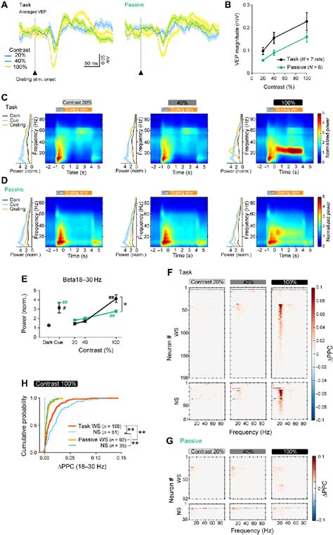 Changes In Lfps And Their Coupling With Spikes After Training A And