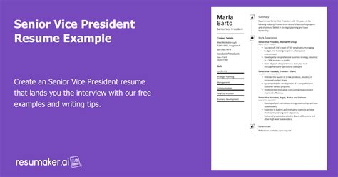 Senior Vice President Resume Example Free Guide