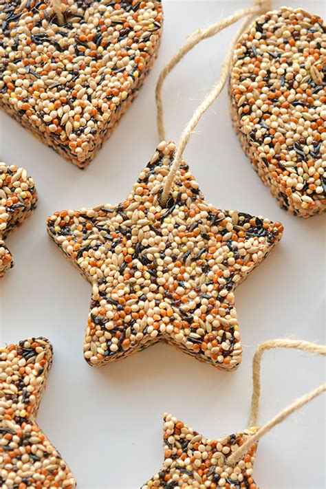 Bird Seed Ornament Recipe Without Gelatin