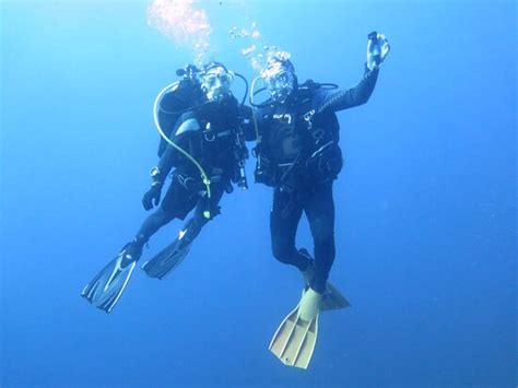 Club De Buceo Islas Hormigas Cabo De Palos Lo Que Se Debe