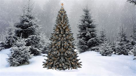 Bing Christmas Tree Wallpapers - Wallpaper Cave