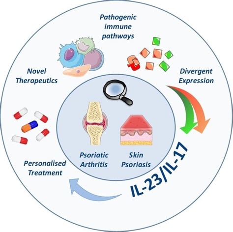 Ijms Free Full Text Role Of The Il 23il 17 Axis In Psoriasis And