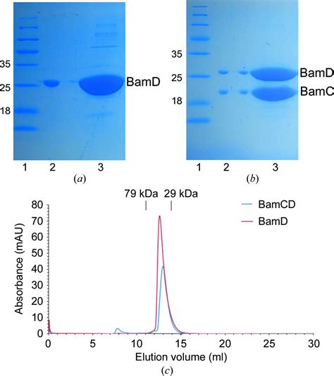 Iucr Recombinant Expression Purification Crystallization And