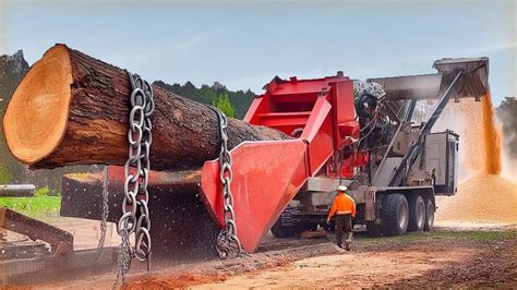 Amazing Dangerous Wood Chipper Machines Working Powerful Heavy Tree Shredder Machines Youtube