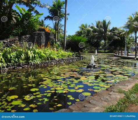 Papeete Tahiti Stock Photo Image Of Paofai Outdoors 64314362