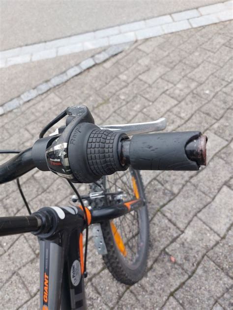 GIANT Kindervelo, 20 Zoll | Kaufen auf Ricardo