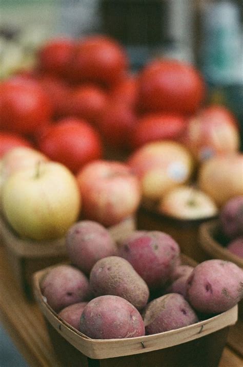 How Late Can You Plant Potatoes And How To Maximize The Yield Plan