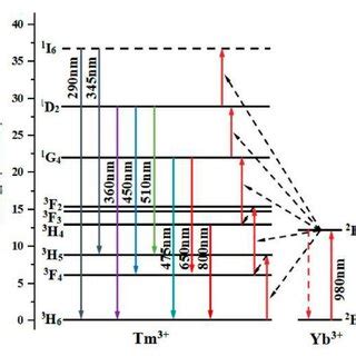 Schematic Diagram Of Energy Level Transition Of Yb And Tm Ions