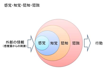 認知心理学概論 メモ とめちゃんs 本ログ