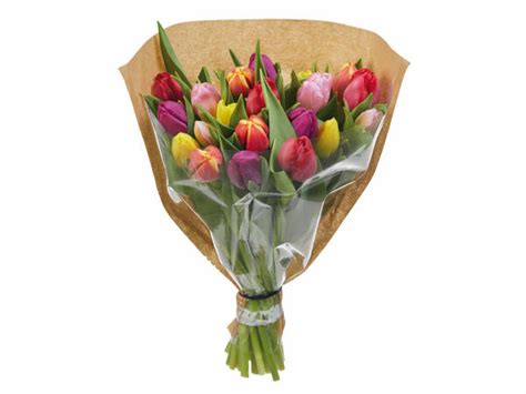 Buchet De Lalele Multicolor Lidl Rom Nia Promo Ii Arhiva