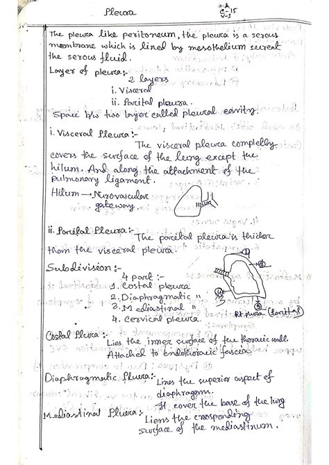 Solution Pleura Anatomy Note Studypool