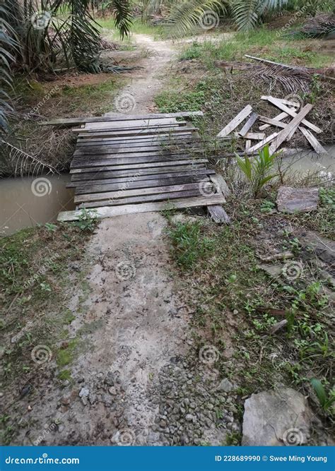 Simple Puente De Madera Para Cruzar La Ruta De Drenaje Foto De Archivo