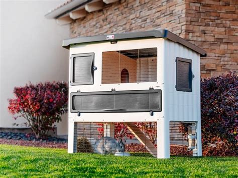 Best 6 Outdoor Insulated Rabbit Hutches For Winter & Summer