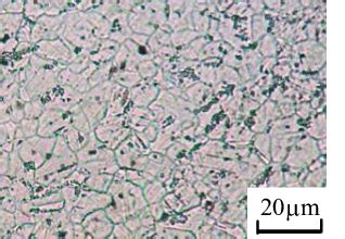 Microstructure of type 347. Fig. 2. Configuration of fatigue specimen ... 