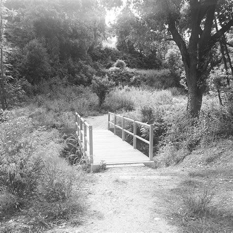 Bridge Free Photo On Pixabay Pixabay