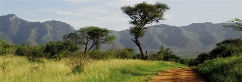 TANSANIA AUF EIGENE FAUST Afromaxx Reisen