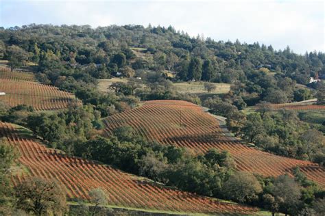 Vignette Design Winter Wine Country Weekend