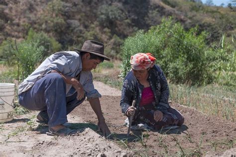 Manos Unidas colabora en proyectos agroecológicos para que los más