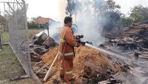 Gudang Pengolahan Kayu Di Probolinggo Ludes Terbakar Diduga Akibat