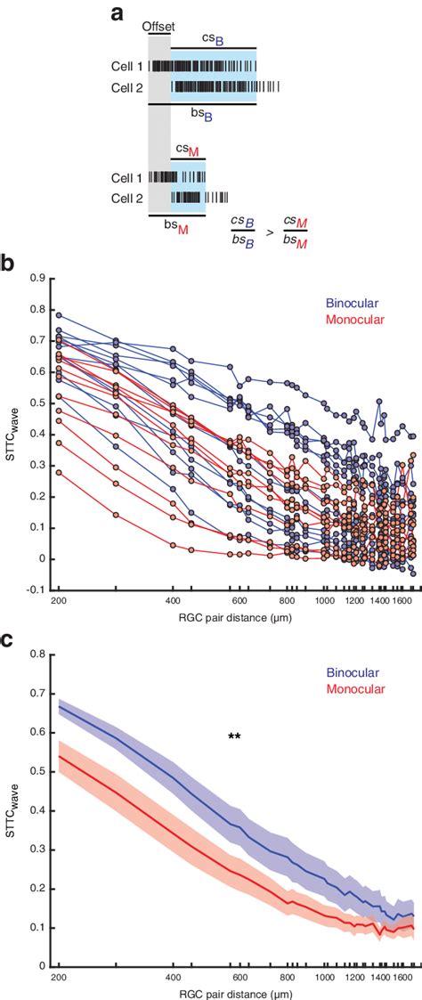 Removing Inter Eye Competition Reduces Levels Of Pairwise RGC