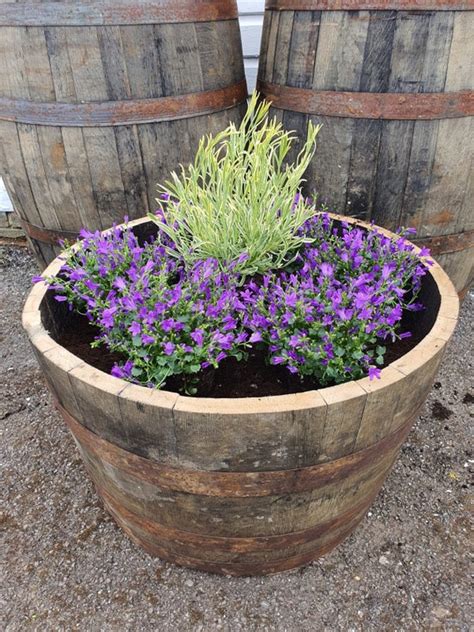 Oak Barrel Whisky Whiskey Planter Half Barrel Tub Rustic Etsy