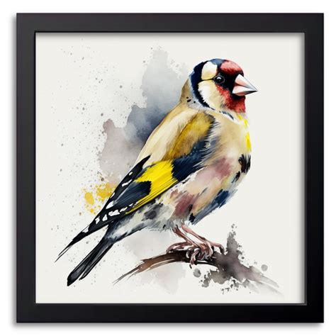 Watercolour Goldfinch Artwork Drawify