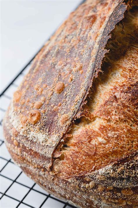 18 Sweet Sourdough Bread Recipe Michelevajen