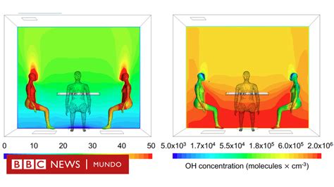 Qué Es El “campo De Oxidación” Que Rodea Nuestro Cuerpo Y Cómo Puede Mejorar Nuestra Vida Con