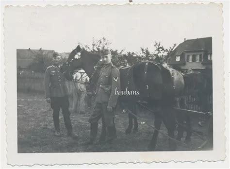 Foto Pferde Soldaten Wehrmacht Wk D Eur Picclick De